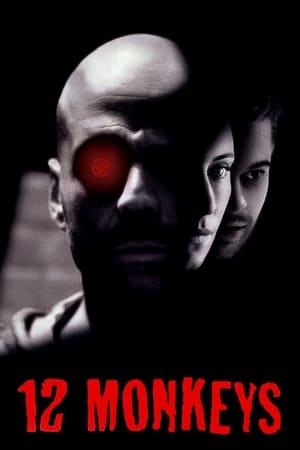 12 Monkeys (1995) Hindi Dual Audio [1GB] HD Poster Download - filmyfly