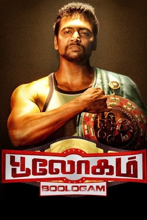 Bhaigiri 2 2018 Hindi Dubbed [980MB] HD Poster Download - filmyfly