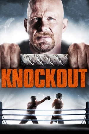 Born to Fight 2011 Hindi Dual Audio 300MB HD Poster Download - filmyfly