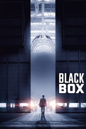 Boxed 2021 Hindi Movie – [330MB] HD Poster Download - filmyfly