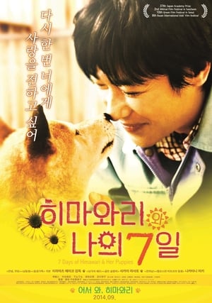 Pup (2013) Hindi Dual Audio 280MB HD Poster Download - filmyfly